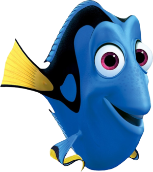 Dory